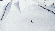 twenty one pilots rock GIF by X Games 