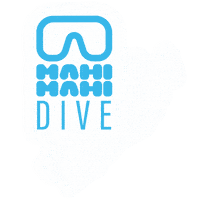 Dive Diving Sticker by Stone Hotels