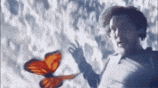 Fly Speed GIF