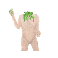 Hooked_on_houseplants plants monstera houseplants house plant Sticker