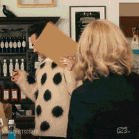 Pop Tv GIF by Schitt's Creek