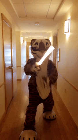 Princeton star wars college university mascot GIF