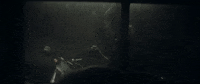 H-D Sport GIF by Harley-Davidson