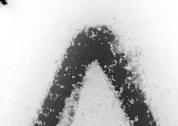 Art Film GIF by jorgemariozuleta