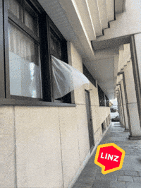 Austria Lol GIF by Linz News