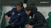 Football Sport GIF by VfL Wolfsburg