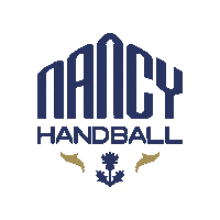 Proligue Villedenancy Sticker by Nancy Handball