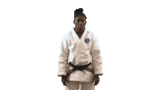 France Sport Sticker by Paris Saint-Germain Judo