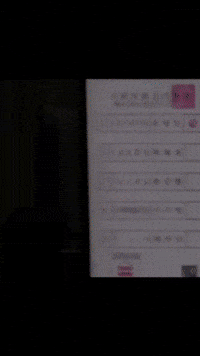 Trump Vote GIF