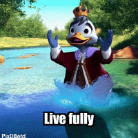 Joy Happiness GIF by sirduckbeth