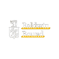 Mbu Sticker by Mary Baldwin University