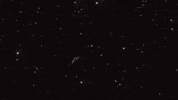 Rainbow Space GIF by COIN