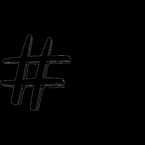 GIF by Porto do Sabor