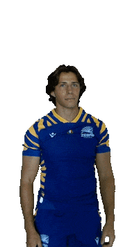 Rugby Italia Sticker by Zebre Parma