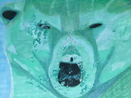 Breathe Out Polar Bear GIF by The LSD Hotel