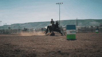 Coming In Hot Horseback Riding GIF by Cavenders