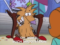 nickrewind nicksplat angry beavers GIF
