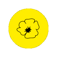 Flandersfields Sticker by VISITFLANDERS