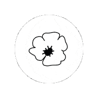 Flandersfields Sticker by VISITFLANDERS