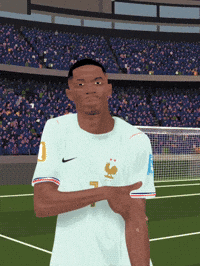 France Football GIF by 9th Maestro