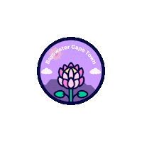 Cape Town Sticker by Bayswater