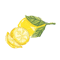 windowsillpies morning cooking pumpkin lemon Sticker