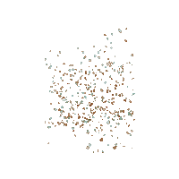 Celebration Sticker by The Learning Network