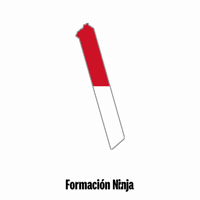 Monaco Flag GIF by Formación Ninja
