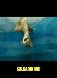 Side Salgado GIF by adventistaslestematogrosso