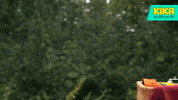 final sprint friends GIF by KiKA