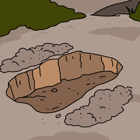 Solana Dying GIF by Ponke