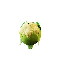 Vegetable Cauliflower Sticker by Bonduelle KZ