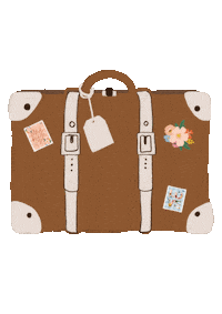 Travel Luggage Sticker