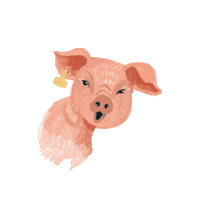 aktionagrar landwirtschaft tierschutz agrar schwein Sticker