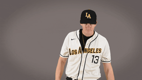Cal State La Baseball GIF by Cal State LA Golden Eagles