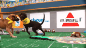 GIF by Puppy Bowl