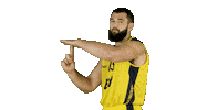 Ewe Baskets Basketball Sticker by EWE Baskets Oldenburg