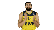 Ewe Baskets Basketball Sticker by EWE Baskets Oldenburg