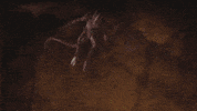 fire burn GIF by Teenage Mutant Ninja Turtles