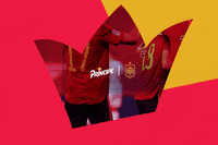 Futbol Vamos GIF by Galletas Príncipe