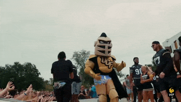 ucfedu ucf ucf knights university of central florida knightro GIF