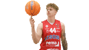 Basketball Hoops Sticker by Basket_fi