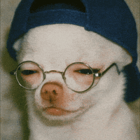 chiroroharu dog puppy tired bored GIF