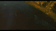 GIF by Sony Music Colombia
