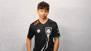 Logo Represent GIF by G2 Esports