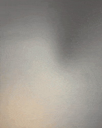 Donut GIF