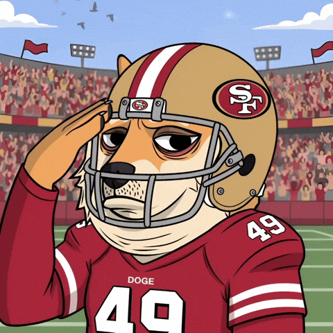 San Francisco 49Ers Football GIF by Doge Pound