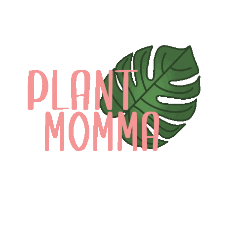 Plants Monstera Sticker