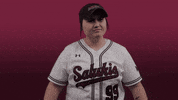siusalukis siu salukis salukisoftball siusoftball GIF