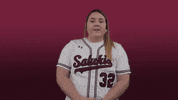 siusalukis siu salukis salukisoftball siusoftball GIF